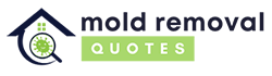 mold removal bentonville